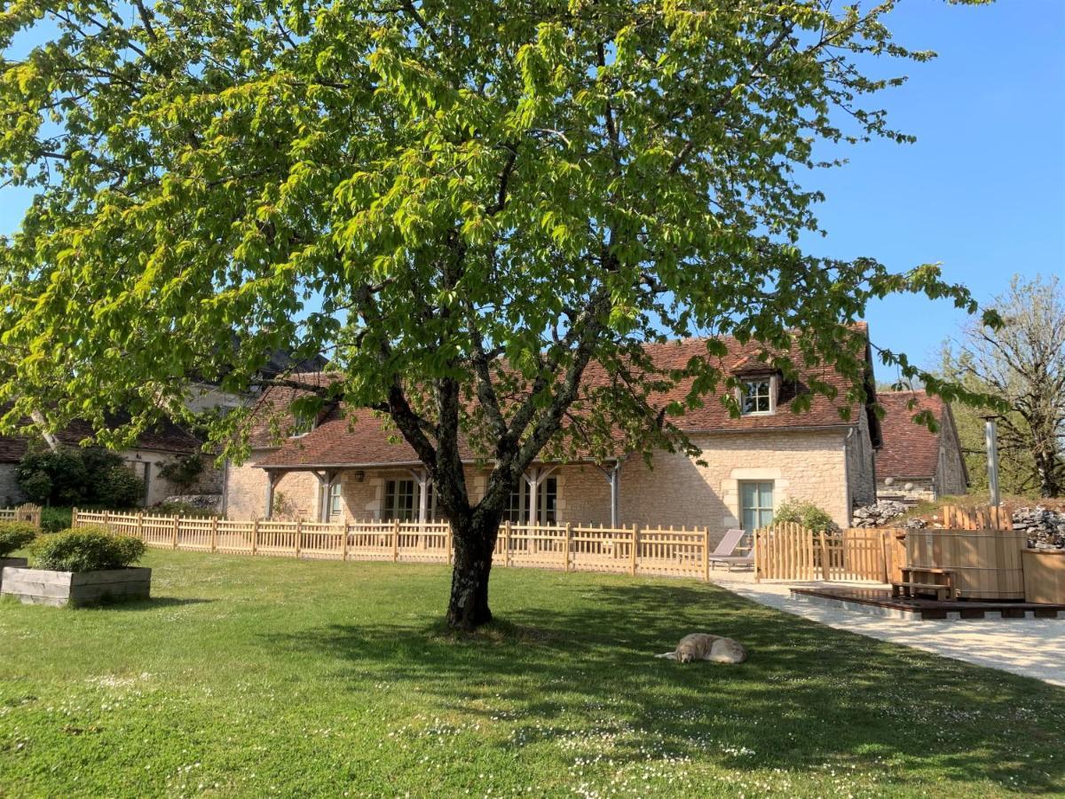 Manoir De Malagorse Cuzance Eksteriør billede